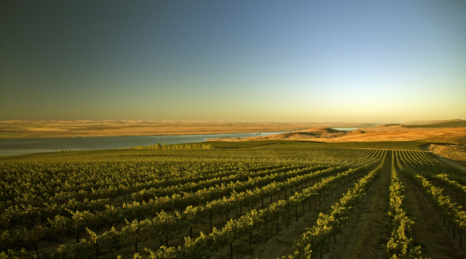 Vinárske regióny a vína zo severnej Ameriky